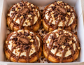 The Plot Twist - Specialty Buns (4 Pack)